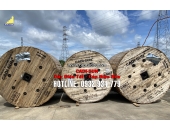 Đại Lý Cấp 1 Chính Thức Phân Phối Dây & Cáp Điện Cadisun Tại TP. HCM